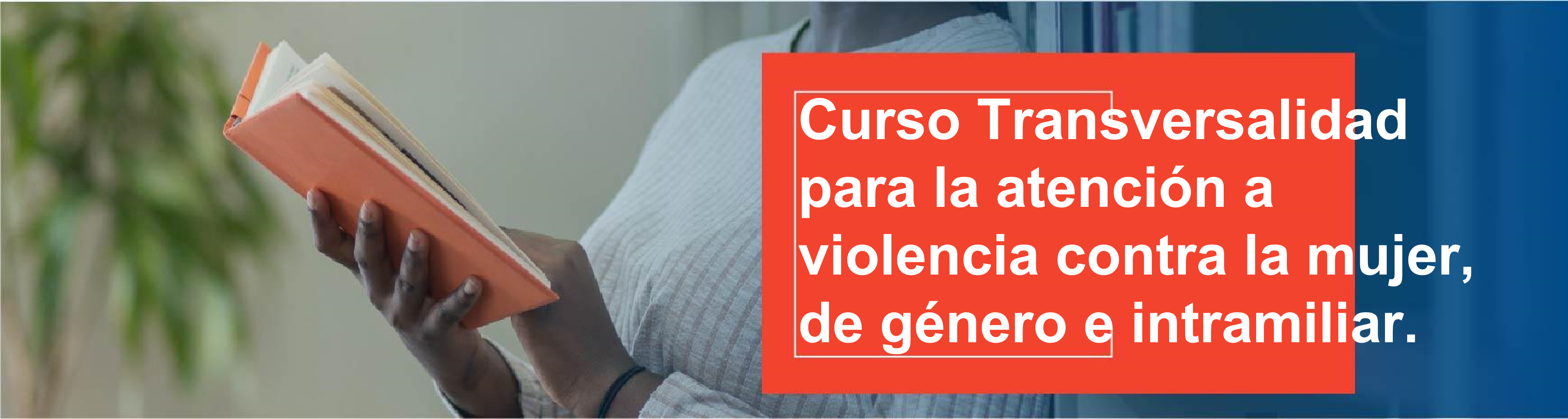 Curso MOOC Transversalidad para la atención de la violencia contra la mujer, de género e intrafamiliar
