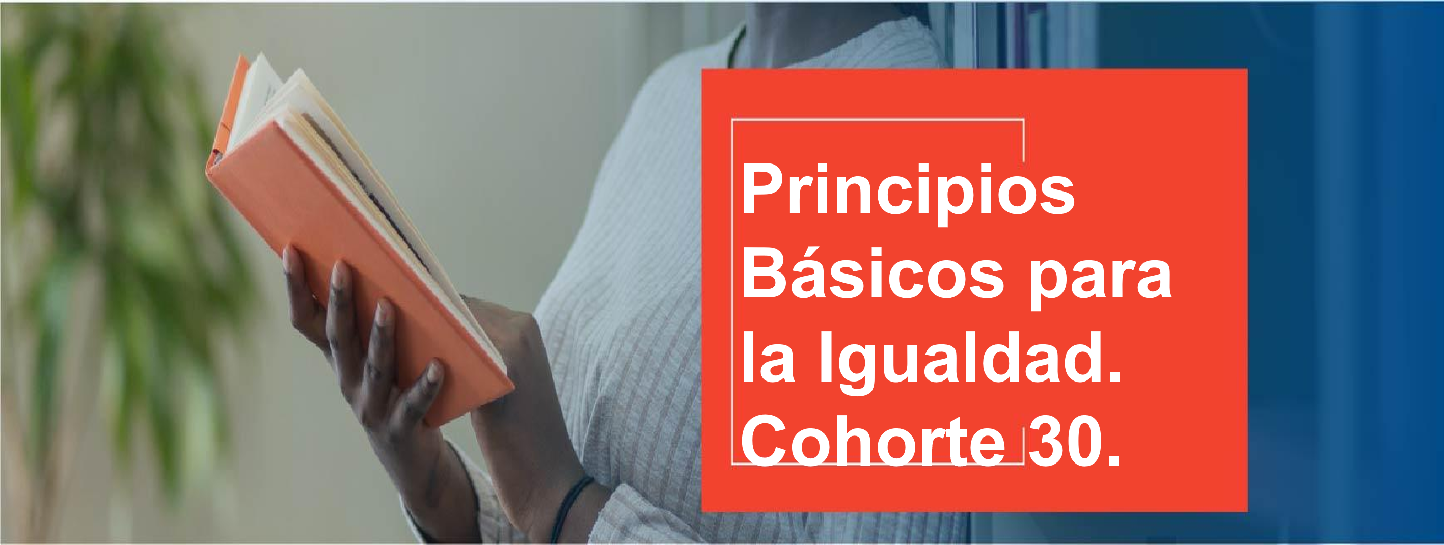 Principios Básicos  para la Igualdad - Cohorte 30